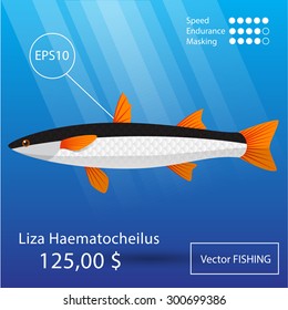 Vector flat mullet icon. Tropical fish. Eps10