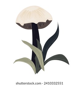 Vector flat mushrooms, pale toadstools. colors sketches, stylized graphics. For design, hand drawn illustration.