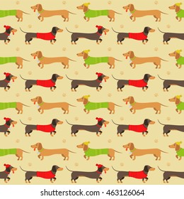 Vector flat pattern of brown and ginger dachshunds, wearing clothes, on a walk 