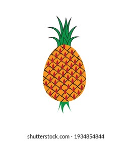 vector flat pinapple or pinapple logo or icon or clipart
