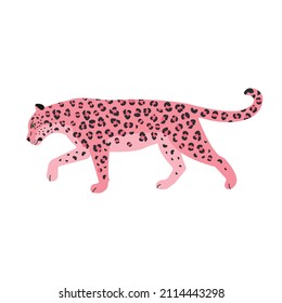 Vector flat pink leopard isolated on white background