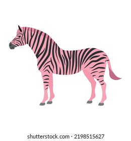Vector flat pink zebra isolated on white background
