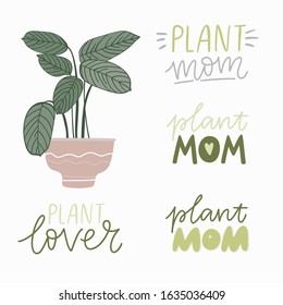 Vector flat plant. Vector illustration home flowers. Hand drawn lettering Quote - Plant mom