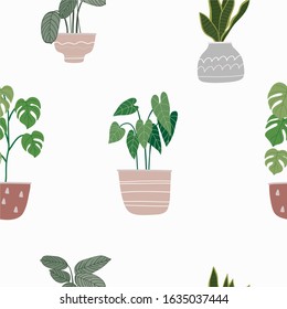 Vector flat plant. Vector illustration home flowers. Hand drawn seamless pattern
