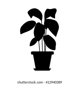 Indoor Plants Silhouette Stock Images, Royalty-Free Images & Vectors ...