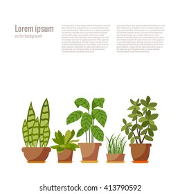  Vector flat plant pot illustration. 