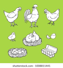 Vector flat poutry, farm chicken monochrome set. Rooster, cock, hen chicken in hay nest, egg in cardboard box, yellow chick, eggshell. Isolated illustration Organic food children coloring book design