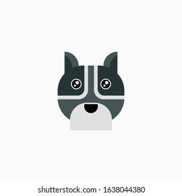 Vector Flat Raccoon's face isolated. Cartoon style illustration. Animal's head logo. Object for web, poster, banner, print design. Advertisement decoration element.