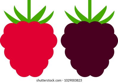 Vector flat raspberry and blackberry isolated