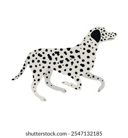 Vector flat running Dalmatian dog isolated on white background