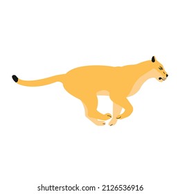Vector flat running lioness isolated on white background