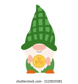 Vector flat saint Patrick day gnome