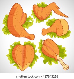 Vector flat. Set chicken. Ham, drumstick, wings, breast, skin, lettuce