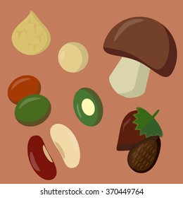 Vector flat set of popular kinds of vegetable proteins. Food and vegetarian themes, decoration of vegan products, illustration for recipes and special articles.