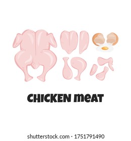 Vector flat set of raw fresh chicken meat parts isolated. Concept design of whole chicken, breast, breast halves fillets and drumsticks for cook. Pieces of turkey, hen, ingredients of carnivore diet