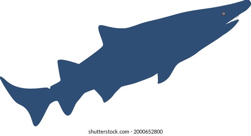 Vector Flat Shark Design  Art Illustration