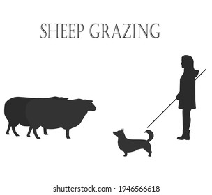 vector flat silhoette illustration of shepherd with stick and dog grazing sheep simple vector illustrations on a white, fictional character