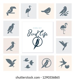 Vector Flat Simple Minimalistic Bird Logo. Birds Icon, Animal Sign, Symbol Isolated On White Background. Nature Park, National Zoo, Pet Shop Logo, Animal Food Store Logo.