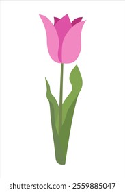 Vector Flat Simple Tulip Isolated on White Background. Spring Flower Tulip. Flowers Bloom Element. Sticker, Print for Easter Spring Holidays, Banners, Posters, Cards, Web. Folk Style.