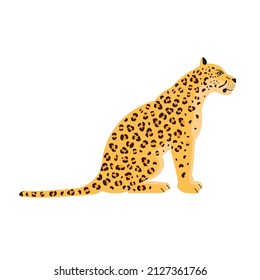 Vector flat sitting leopard isolated on white background