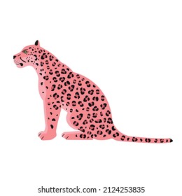 Vector flat sitting pink leopard isolated on white background