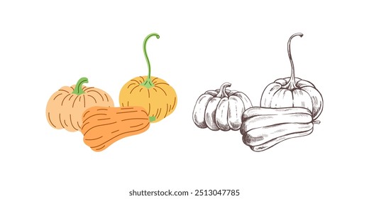 Vector flat and sketch  style Halloween Illustration. Hand-drawn  pumpkins sketch isolated on white background. Element for labels, packaging and cards design.