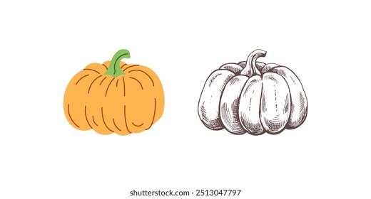 Vector flat and sketch style Halloween Illustration. Hand-drawn  pumpkin sketch isolated on white background. Element for labels, packaging and cards design.