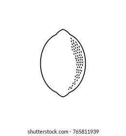 vector flat sketch styleblack and white contour fresh ripe lemon. Isolated illustration on a white background. Healthy vegetarian eating, dieting and lifestyle design object.