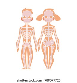 Vector flat structure of the human body, anatomy - female, male bones, human skeleton. Anatomical skeletal system, education, science design object. Isolated illustration, white background.