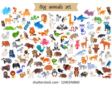 Vector flat style big set of animals isolated on white background. Collection of vector cartoon creatures from doffernt continents. Tropical and exotic wild animal character