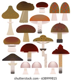 Vector flat style vector forest brown mushrooms set. Ornamental, traditional, geometry flat style. 