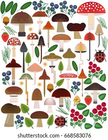 Vector flat style vector forest mushrooms and forest element set. Ornamental, traditional with forest berries and mushroom, strawberries, deep, blueberries, mountain ash, cranberries, leaf, dot.