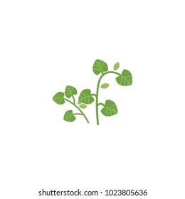 vector flat style hand drawn parsley branch with stem, leaves image. Isolated illustration on a white background. Spices , seasoning, flavorings and barbecue herbs concept.