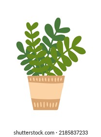 Vector flat style home plant in pot. Vector houseplant with leaves in ceramic pot isolated