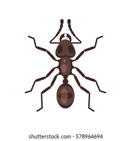 Vector flat style illustration of ant. Icon for web. Isolated on white background.