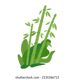 Vektorflache Illustration eines Bambus