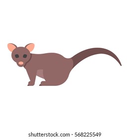 Vector flat style illustration of brushtail possum. Icon for web. Isolated on white background.