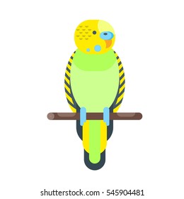 Vector flat style illustration of budgerigar. Icon for web. Isolated on white background.