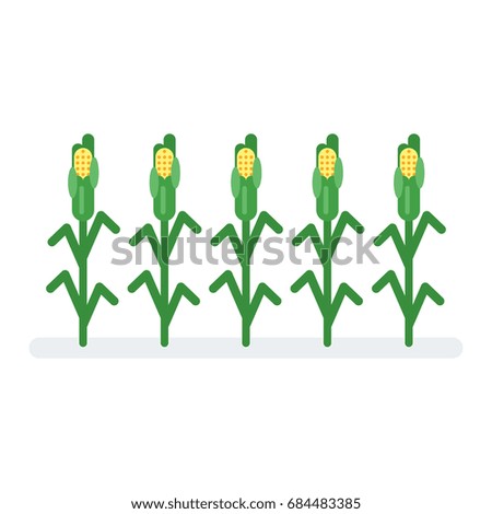 Vector flat style illustration of corn. Icon for web. Isolated on white background.