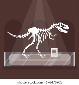恐竜 骨 T Rex の画像 写真素材 ベクター画像 Shutterstock