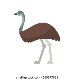 Vector flat style illustration of emu. Icon for web. Isolated on white background.