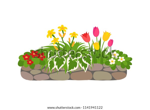 Vector Flat Style Illustration Flower Bed Stock Vector (Royalty Free