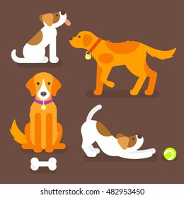 Vector flat style illustration of funny dogs in the home. Pet plays with ball. Brown background. 