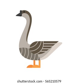 Vector flat style illustration of goose. Icon for web.