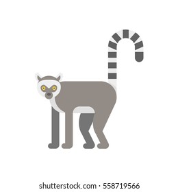 Vector flat style illustration of lemur. Icon for web. Isolated on white background.