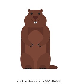 Vector flat style illustration of marmot. Icon for web. Isolated on white background.