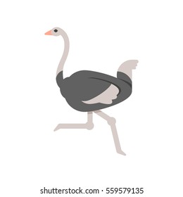 Vector flat style illustration of ostrich. Icon for web. Isolated on white background.