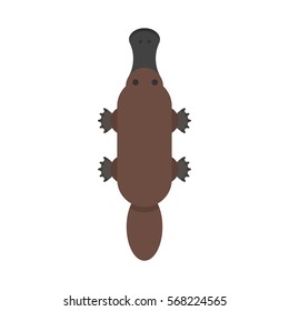 Vector flat style illustration of platypus. Icon for web. Isolated on white background.