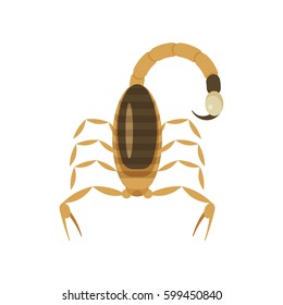 Vector flat style illustration of poisonous scorpion. Icon for web. Isolated on white background.