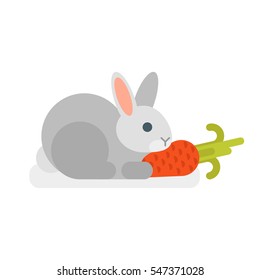 Vector flat style illustration of rabbit with carrot. Icon for web. Isolated on white background.